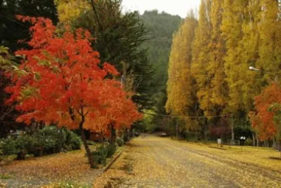 San MartÃ­n de los Andes. NeuquÃ©n. Argentina