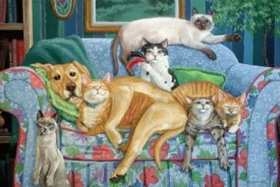 gatinhos