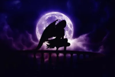 Lonely Fairy