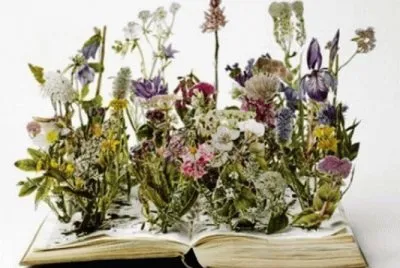libri