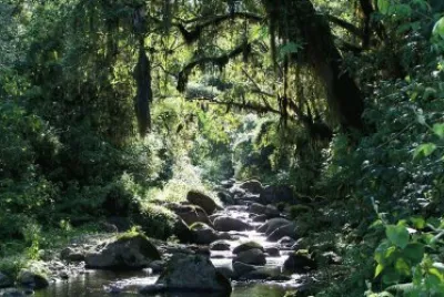 PN Campo de los Alisos. TucumÃ¡n. Argentina