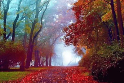 paisagem