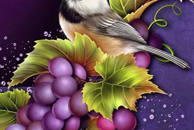 Bird with Grapes