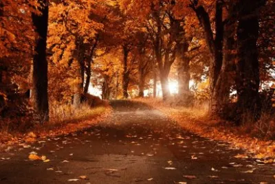 Autumn