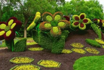 flores