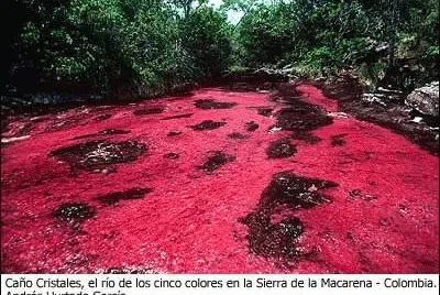 Cristales