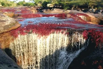 Cristales