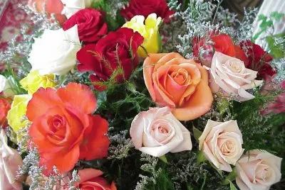 Rosas