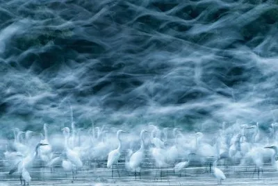 פאזל של favorite