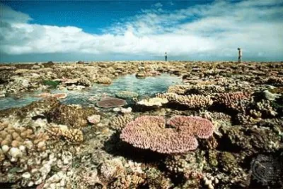 Gran Barrera de Coral. Australia