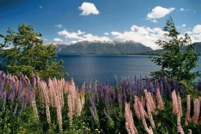 Lago LÃ¡car. NeuquÃ©n. Argentina