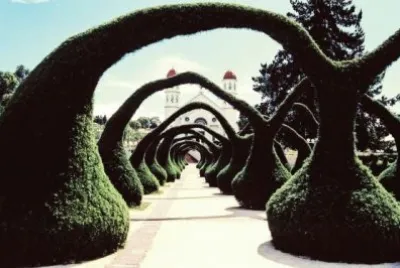 ZARCEROS. jigsaw puzzle