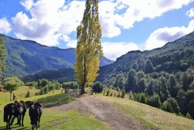 Cerca de Bariloche. RÃ­o Negro. Argentina