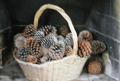 PiÃ±as