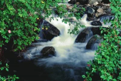 Cascada de la Virgen. RÃ­o Negro. Argentina