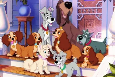 perros