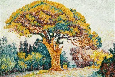 44