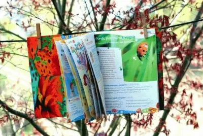 libri
