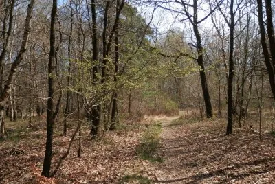 Sous-Bois (Bel.) jigsaw puzzle