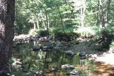 RiviÃ¨re calme (Belgique)
