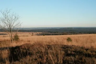 Fagnes (East Belgium)