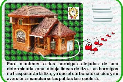 TIP PARA CONTROL DE HORMIGAS.