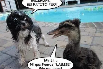 EL PATITO FEO. jigsaw puzzle