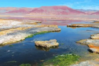 Laguna Carachi Pampa. Catamarca. Argentina