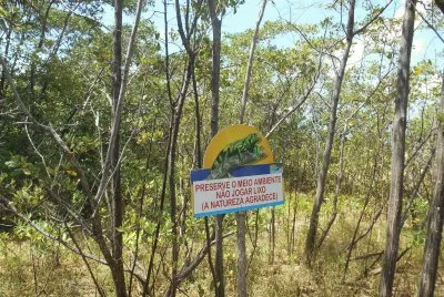 Preservando o meio ambiente