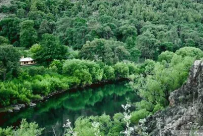 AluminÃ©. NeuquÃ©n. Argentina