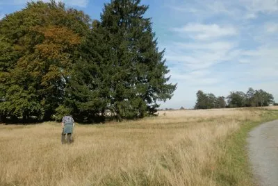 Fagnes (East Belgium)
