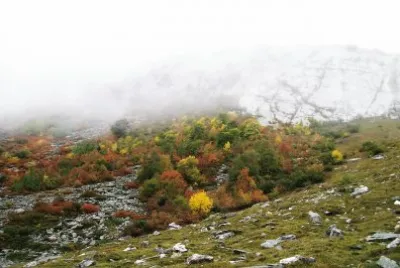 Automne dans les Alpes (Fr)