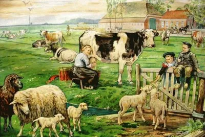 campo