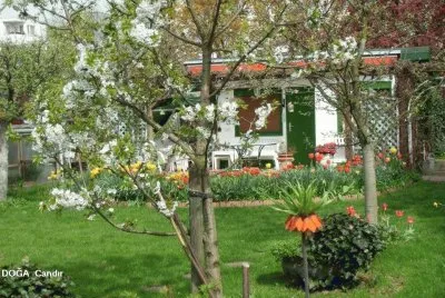 jardim jigsaw puzzle