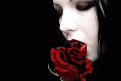 Vamp