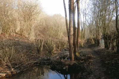 Little river (East Belgium)