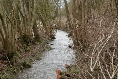 River 's cleaning (East Belgium)