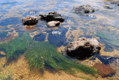 En el rÃ­o Yuspe. CÃ³rdoba. Argentina