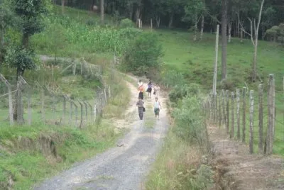 Trabalho de campo rural