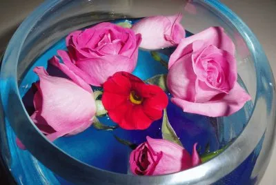 roses jigsaw puzzle