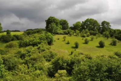 Avant l 'orage (East Belgium)