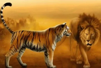 animales jigsaw puzzle