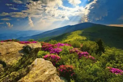 naturaleza jigsaw puzzle