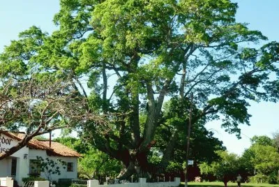 YapeyÃº. Corrientes. Argentina