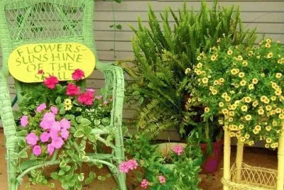 פאזל של flores