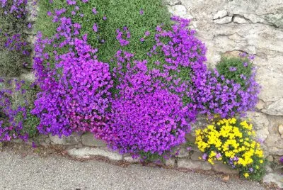 Fleurs jigsaw puzzle