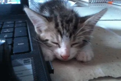 LULU EN LA COMPU