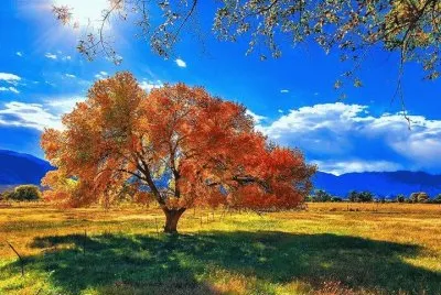 PAISAJE 1