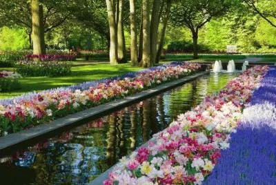 PARQUE