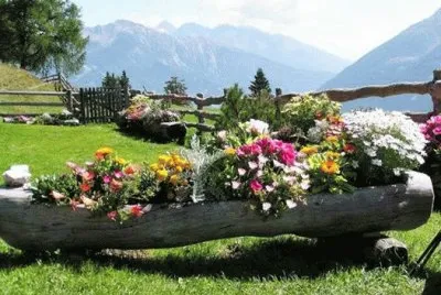 JARDIN 2